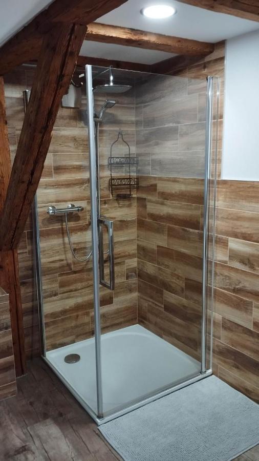 Apartman Albreit 2 Jáchymov Exterior foto